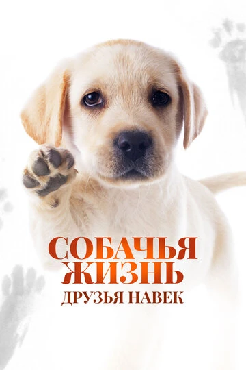 🎬 #ЧтоПосмотреть