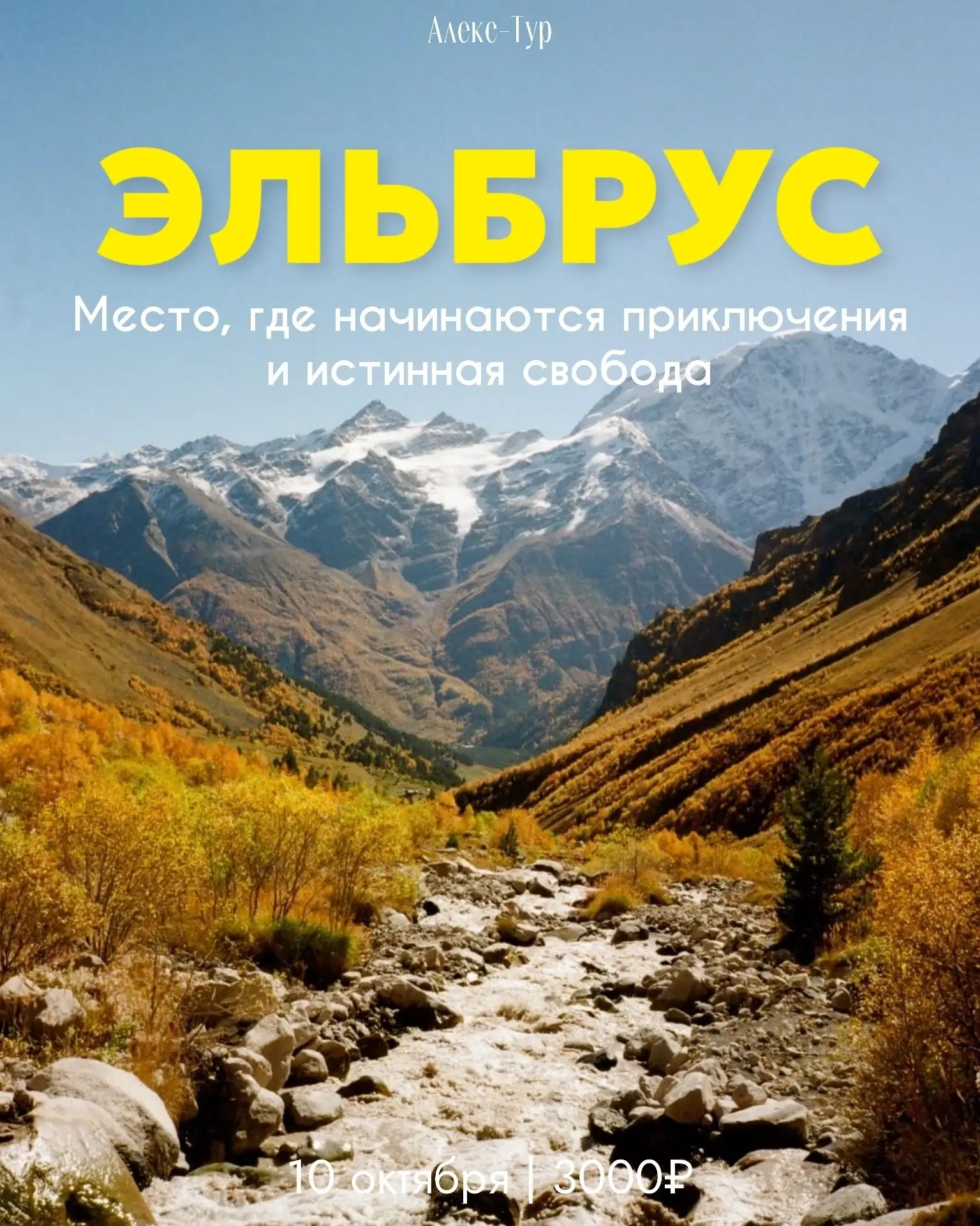 Алекс-Тур🍁