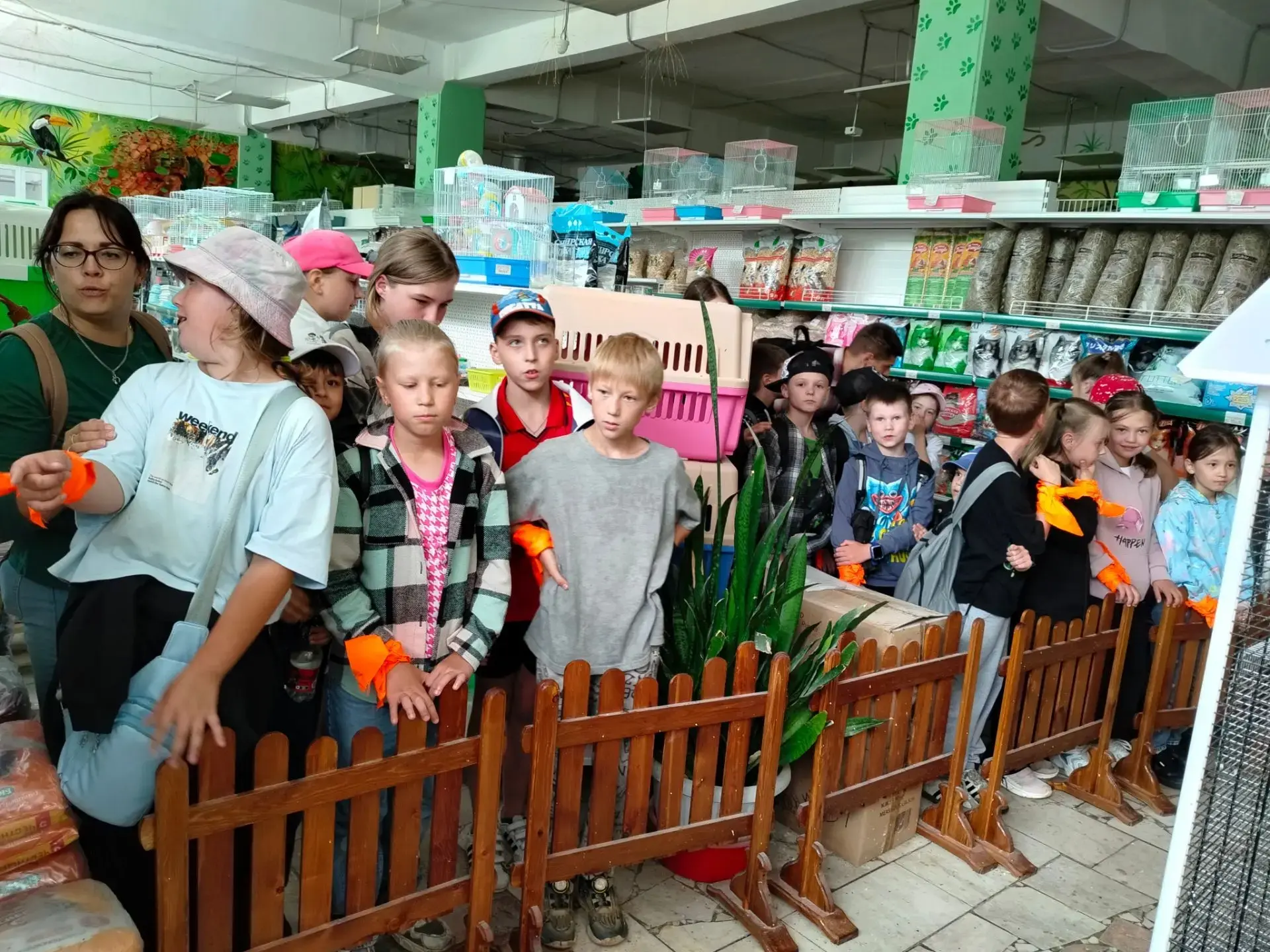 14 июля ребята из отряда "Кунчээн"☀ сходили в зоомагазин "Лапушки", где познакомились с животными, п