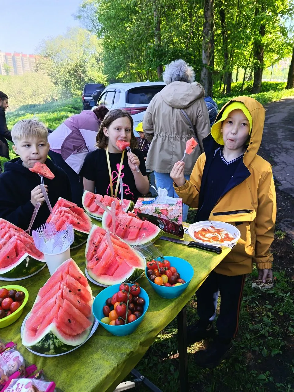 Пикник в парке «Романовка»