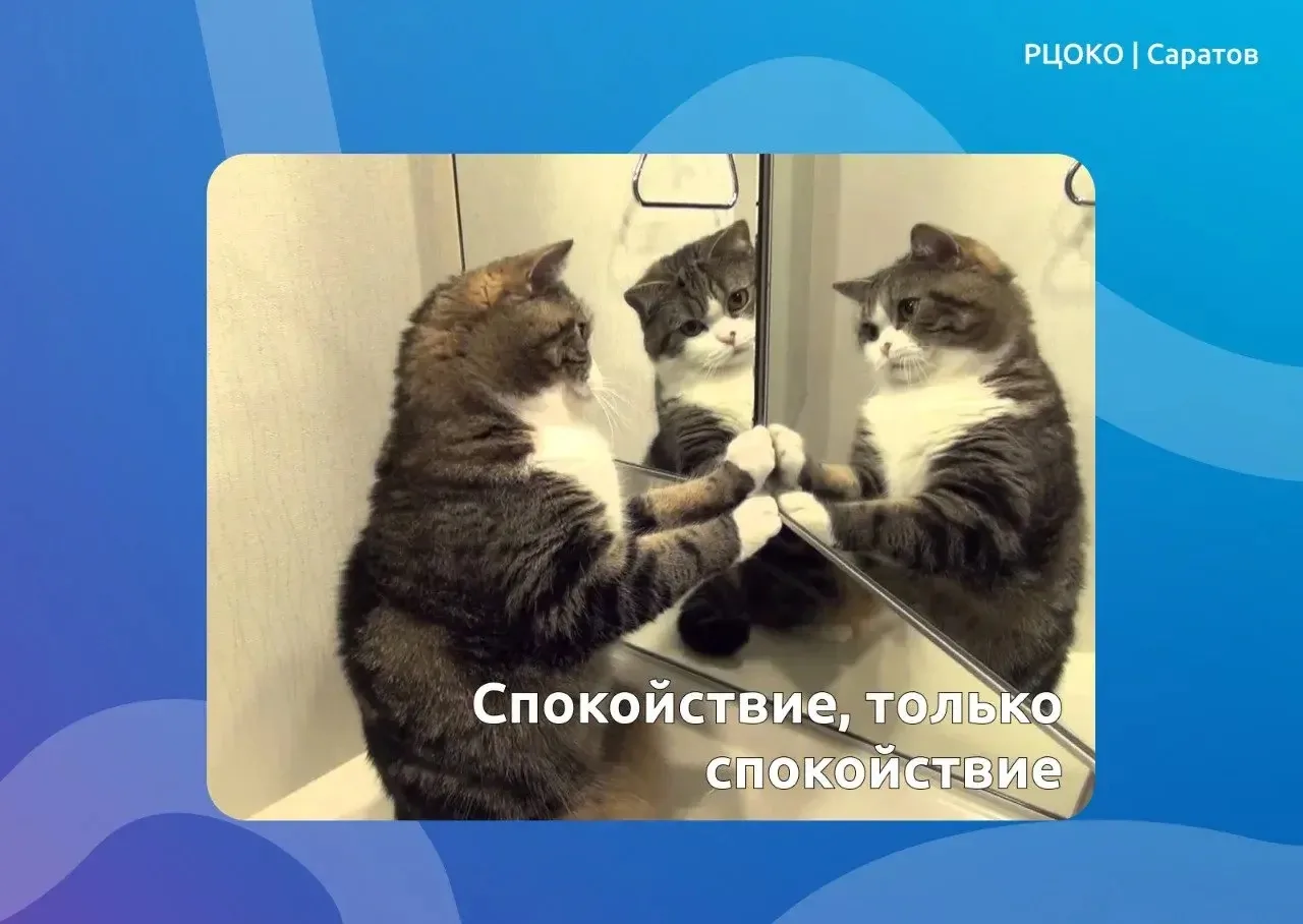 Спокойствие на экзамене — это важно  До начала основного периода ГИА остается все меньше времени. Во