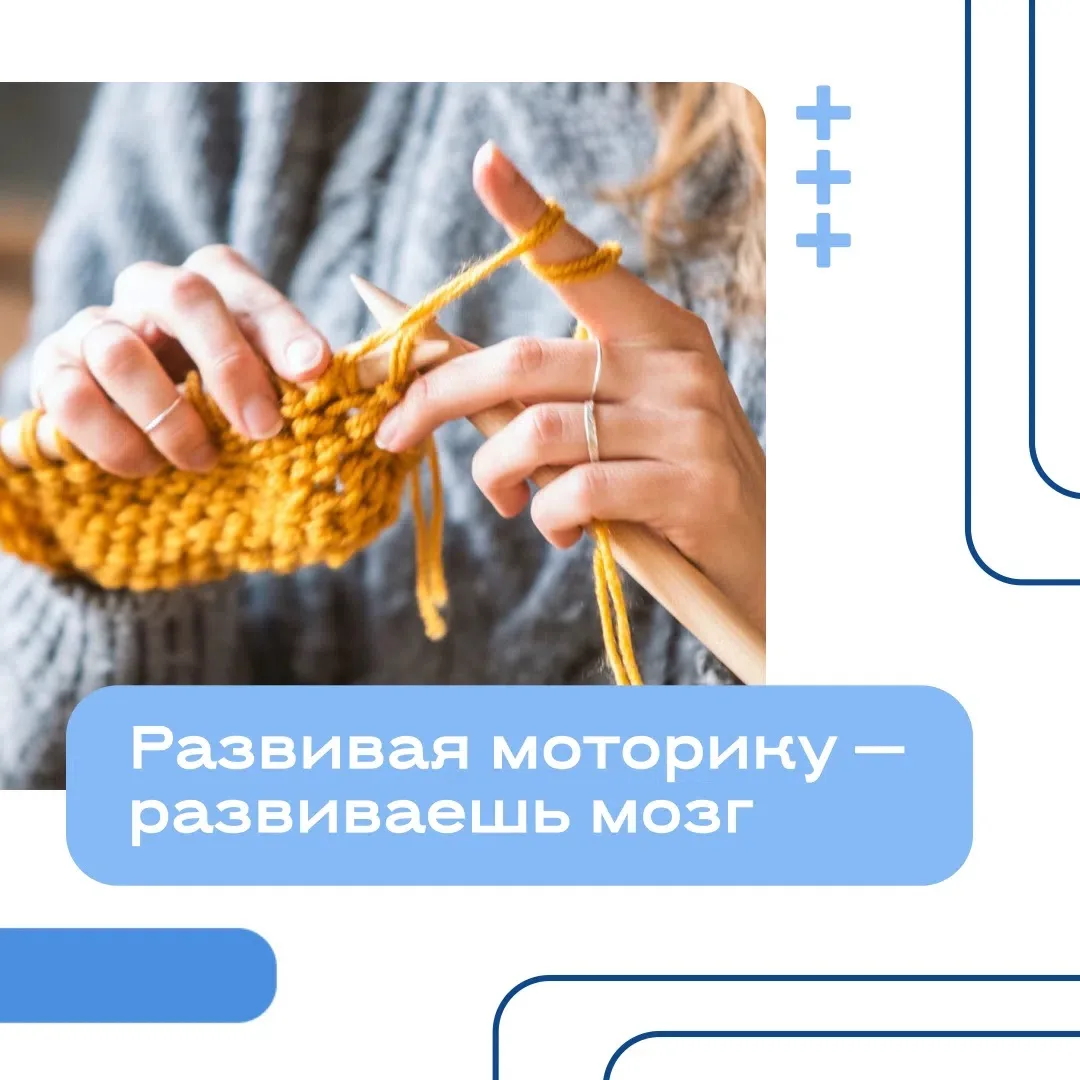 Если изучить мозг, то можно обнаружить интересный факт: зона, отвечающая за кисти рук и...