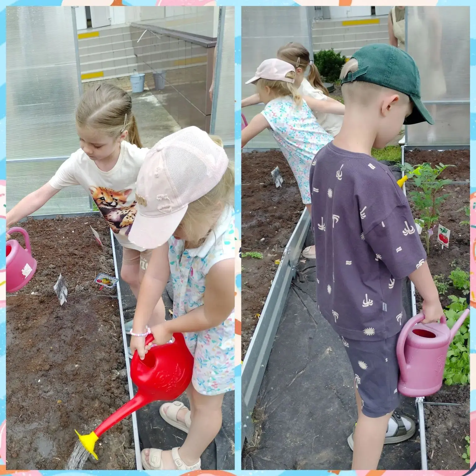 Уход за огородом в теплице 🍅🥒🥕🫜