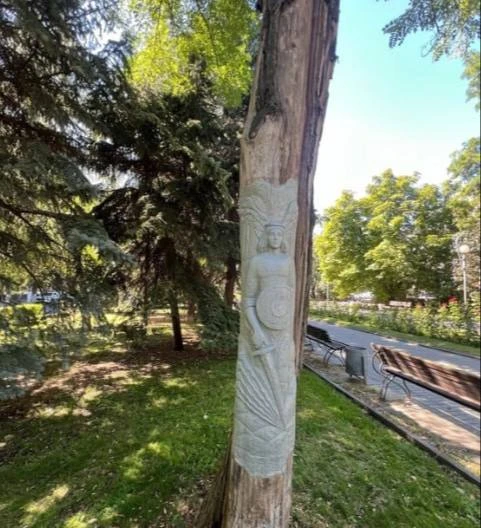 В центре Волгограда на дереве появился образ архангела Михаила