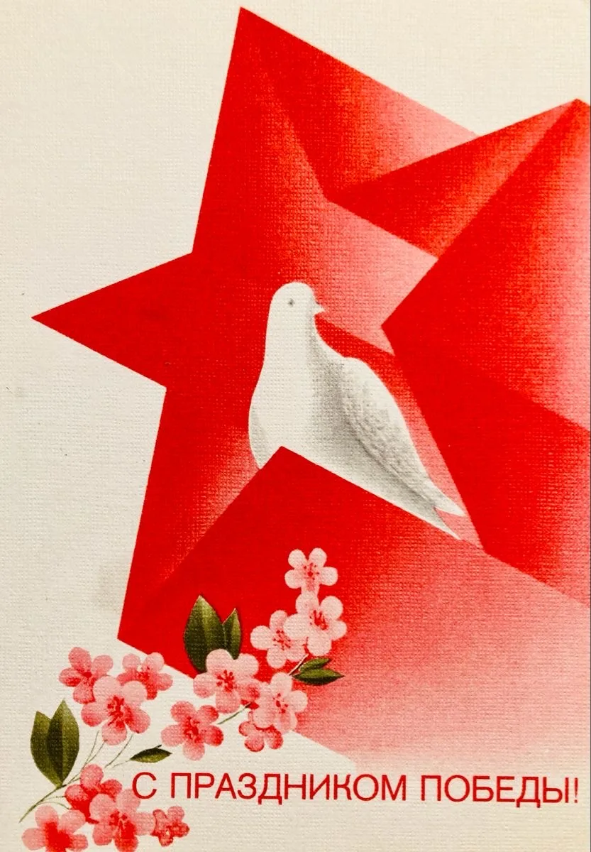 С Днём Победы! 🕊️🌹⭐️  В этот Светлый день хотим пожелать каждому из Вас мира в душе и мирного неба н