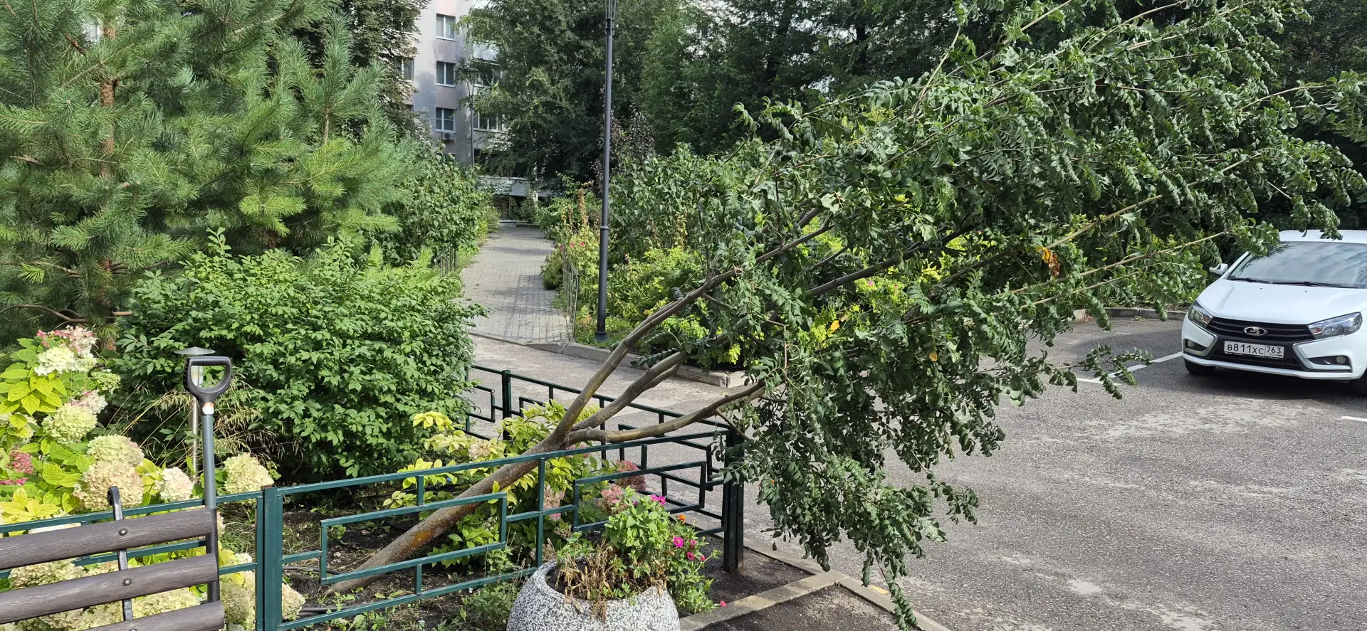 Вчерашний ураганный ветер выворотил молодую рябину у подъезда. Удалось сегодня её попра...