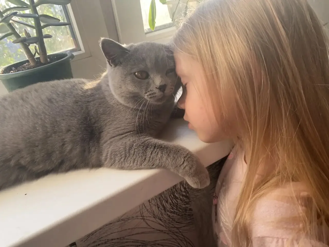 😺🐶Акция: «Моё сердце — их защита»