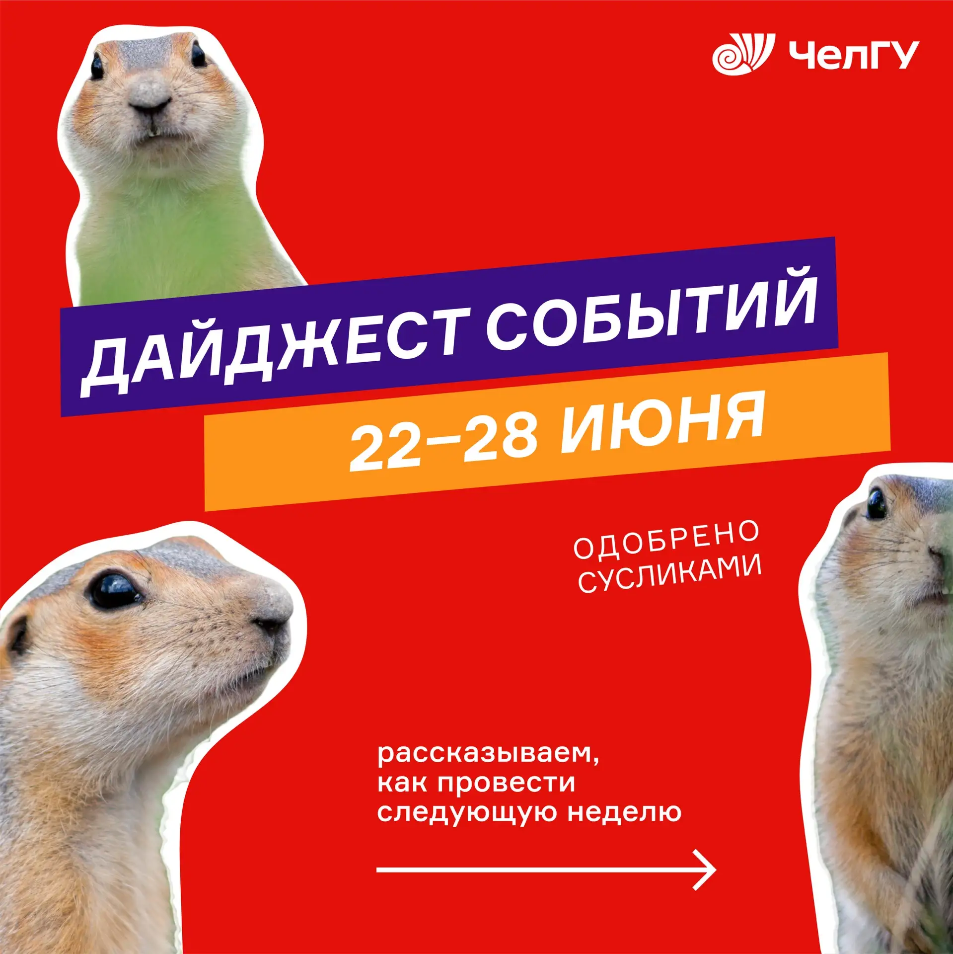 🎭 22 июня в 18:00 погружаемся в спектакль «Неизвестный друг». Замужняя, состоятельная ...