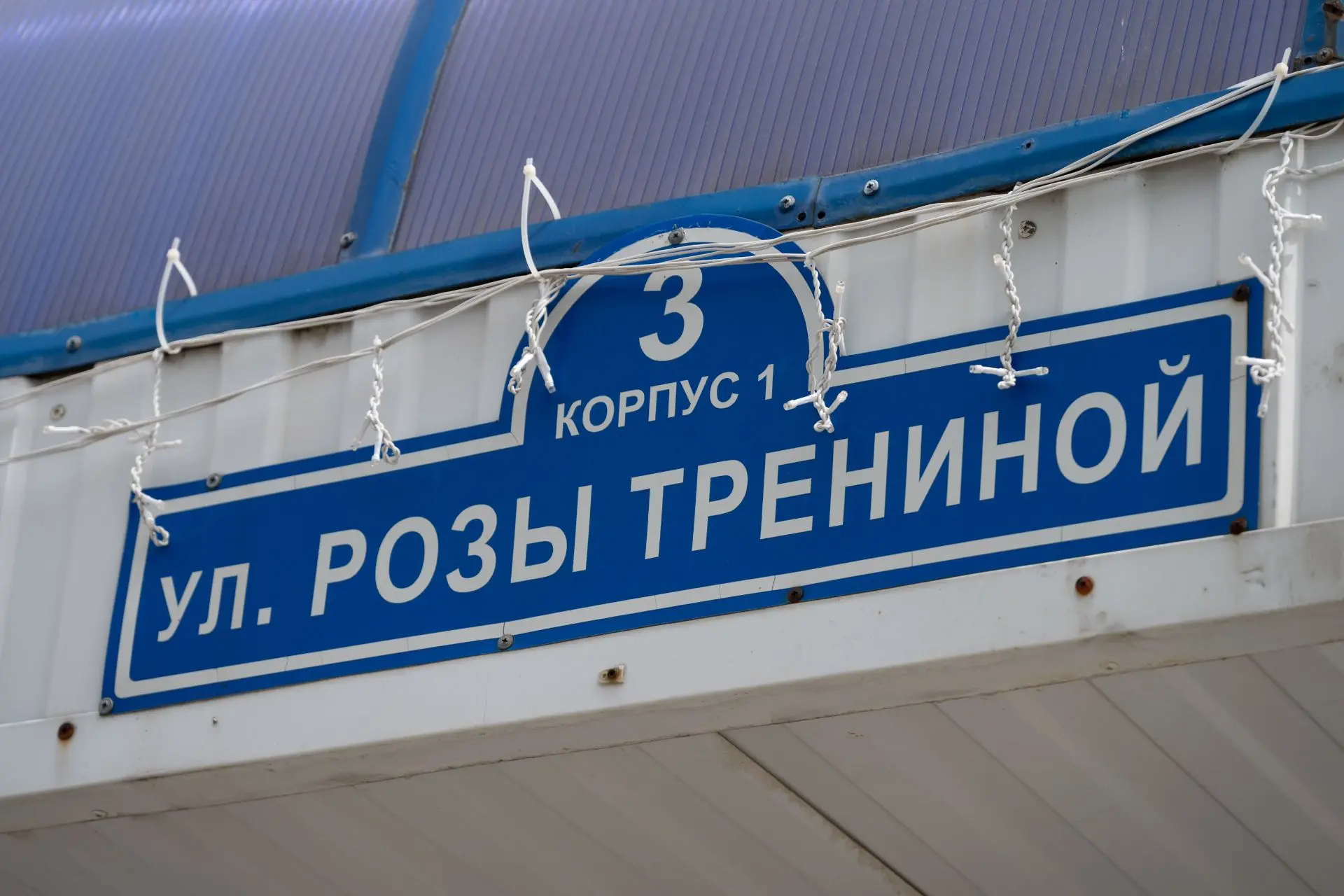 Изображение 4 к публикации «Светлана Иванова»