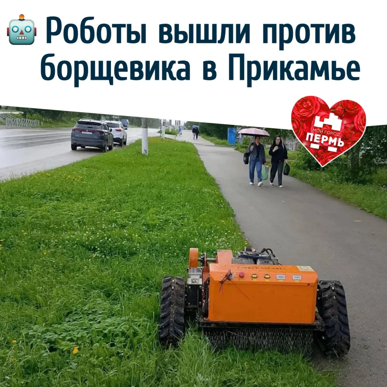 🤖 Роботы вышли против борщевика в Прикамье
