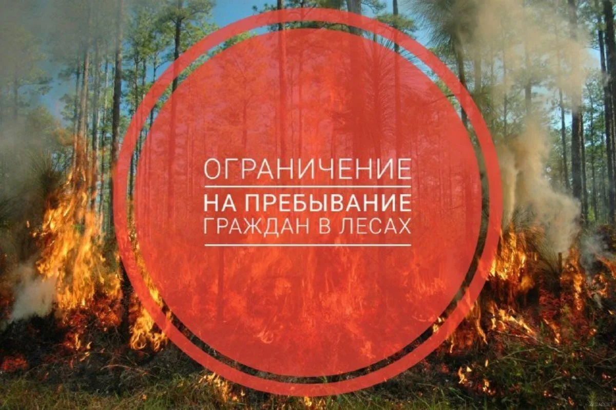 На территории Самарской области установлено ограничение пребывания граждан в лесах