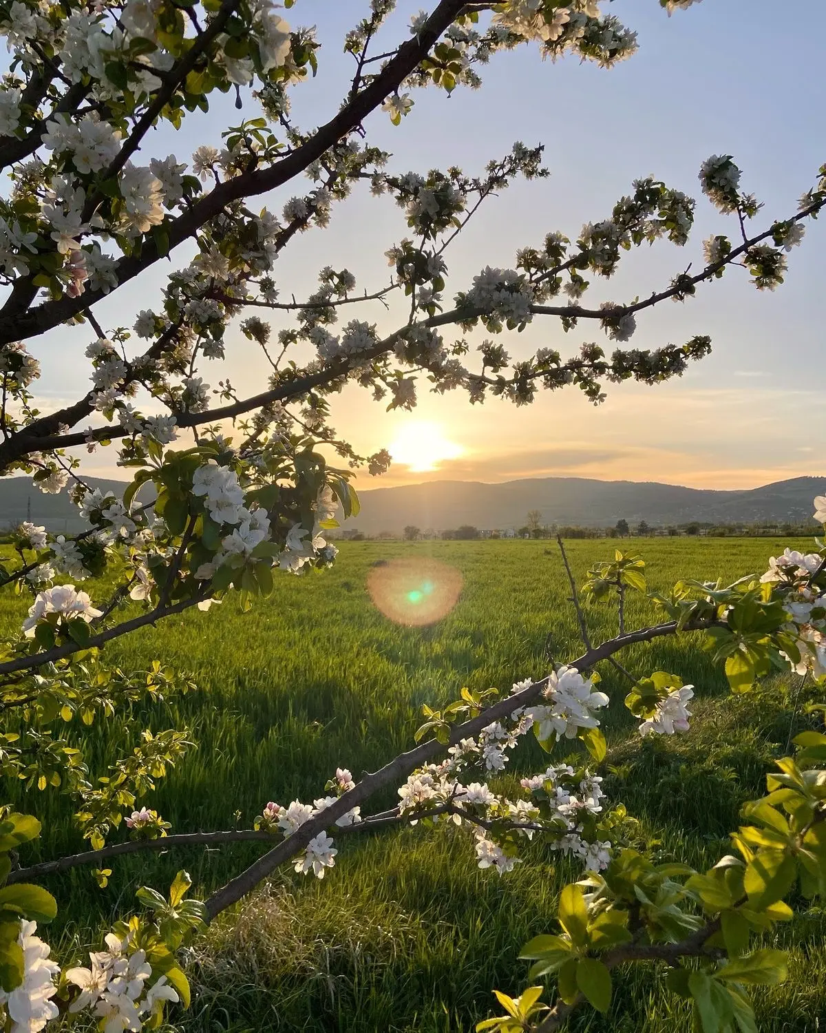 Следующий день марафона по теме 날씨! ☀️🇰🇷

소나기 - внезапный летний ливень, «дождь-гость»
이슬비 - мелка