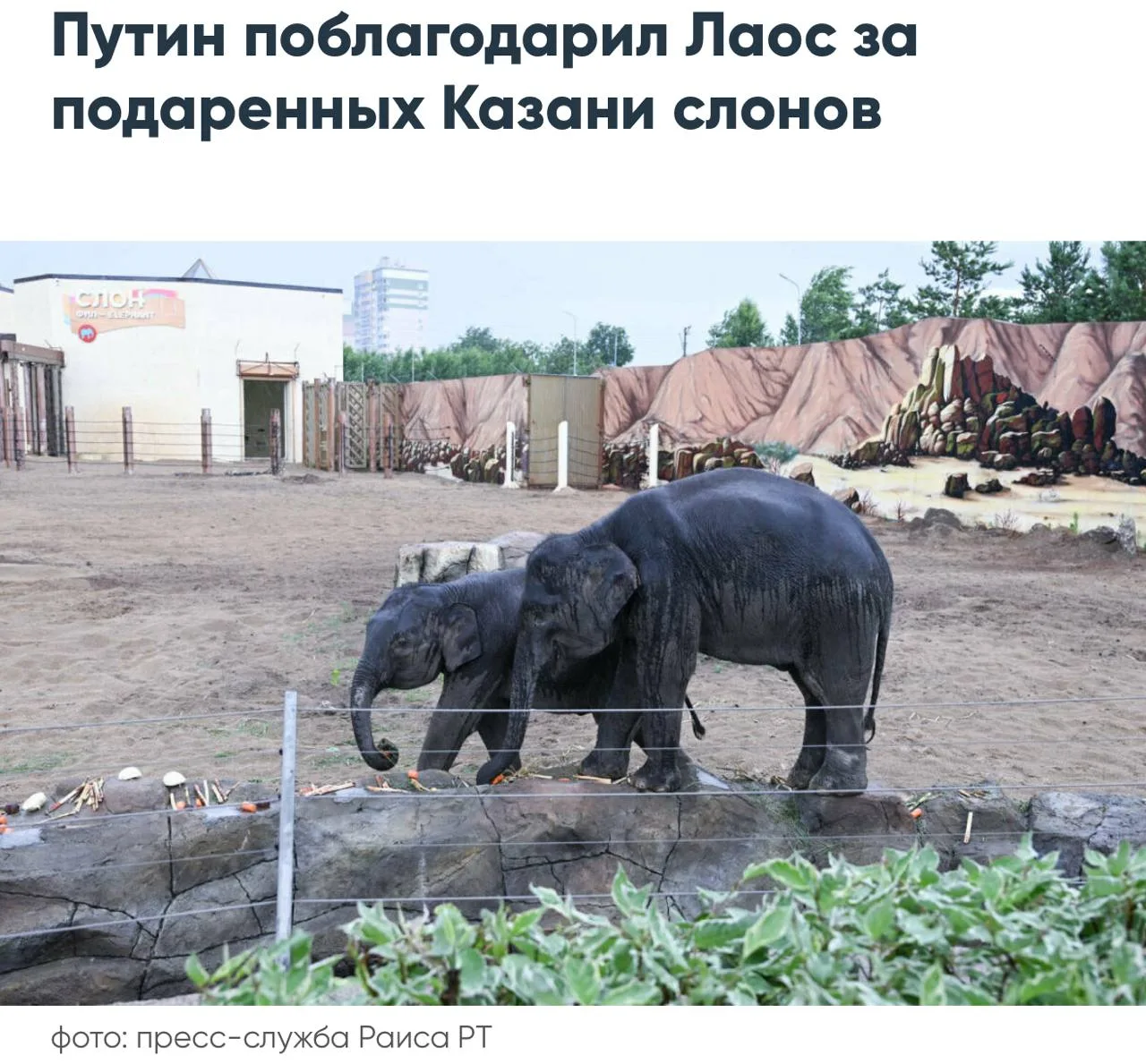 Наш неофициальный топ-3 этой недели:

🐘 Слоны 
🍭 Чак-чак
🚔 Гаишники