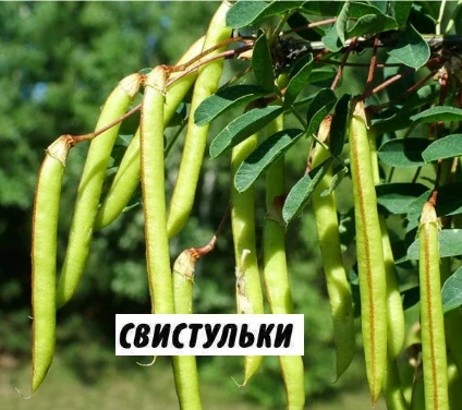 🌞 КАКИМ БЫЛО ЛЕТО В НАШЕМ ДЕТСТВЕ