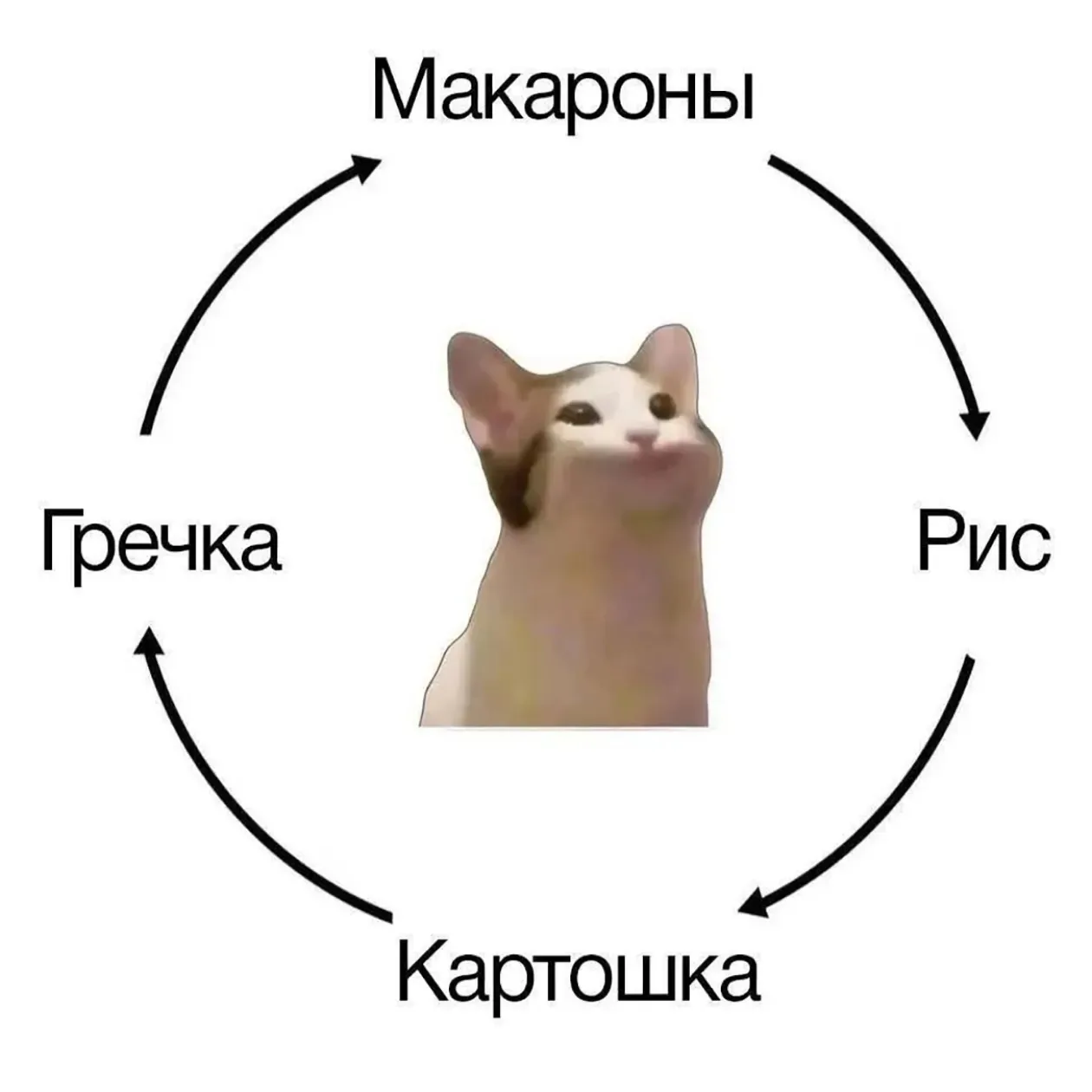 Макароны, гречка, рис, картошка… Кажется, этот список можно продолжать бесконечно 😄