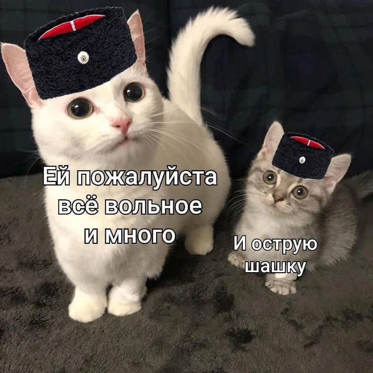 Да, моя принцесса знает, чего хочет