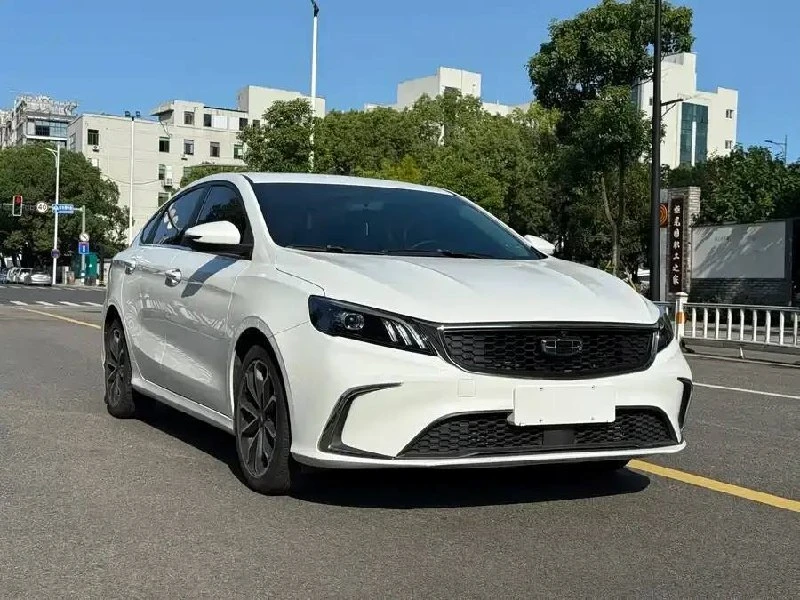 Доступно к заказу из Китая Geely Binrui 🚗