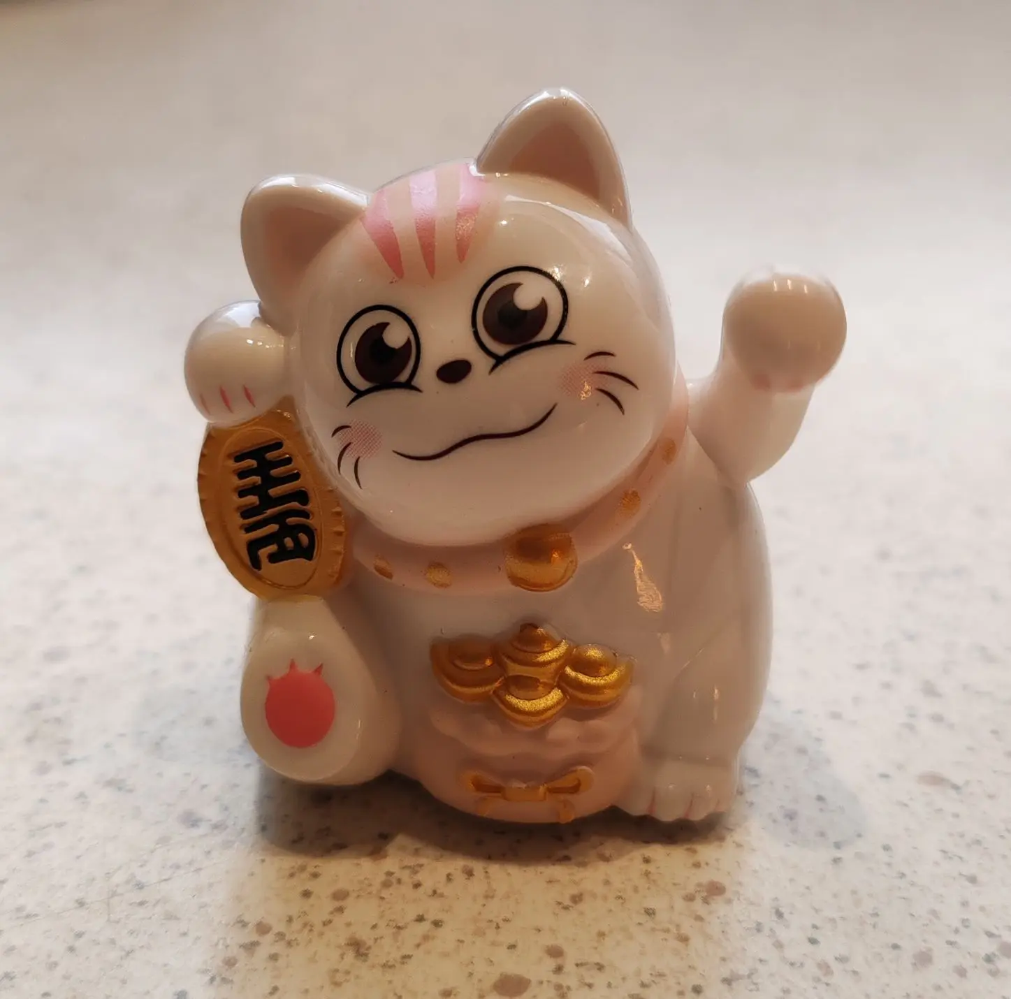 Этот котик приехал к нам из Тайланда. Подарочек от Рамзеса 🎁😻