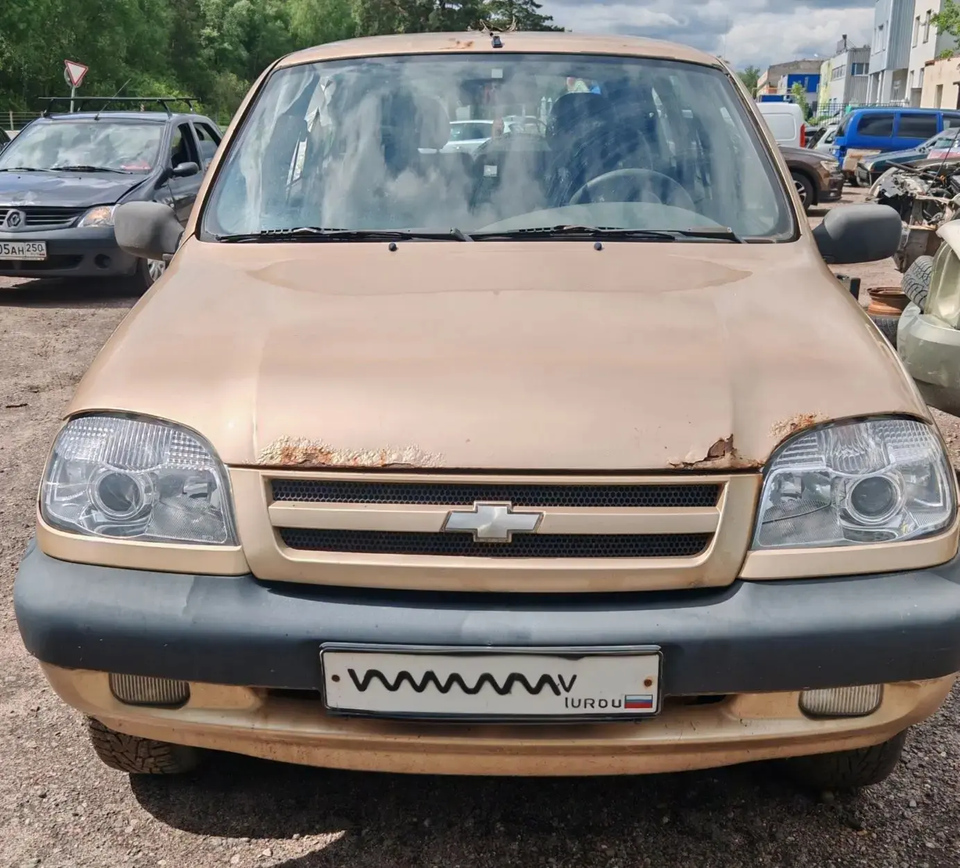 Новые поступления: