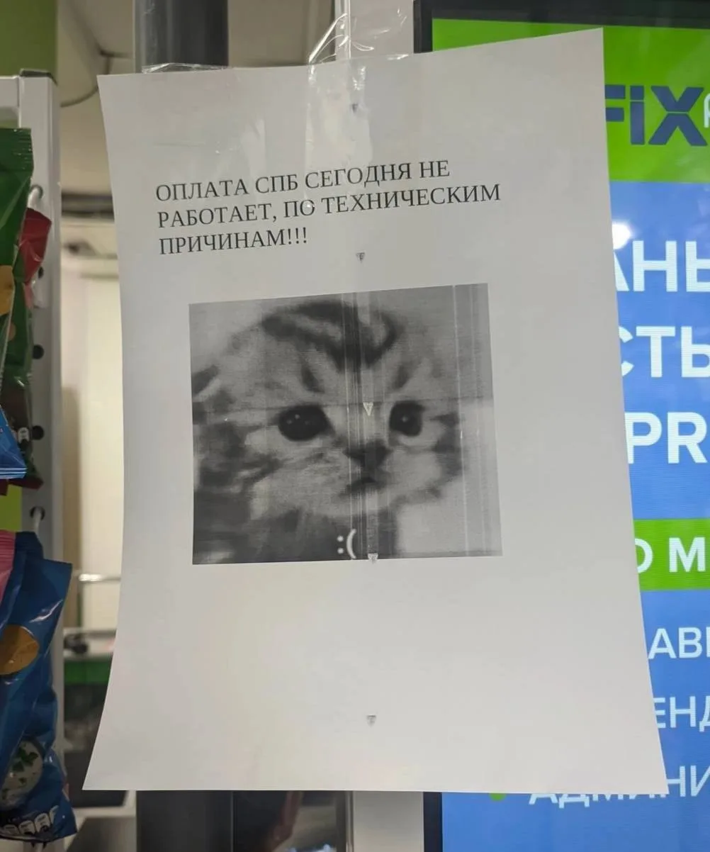Любой негатив можно скрасить котиком 😸