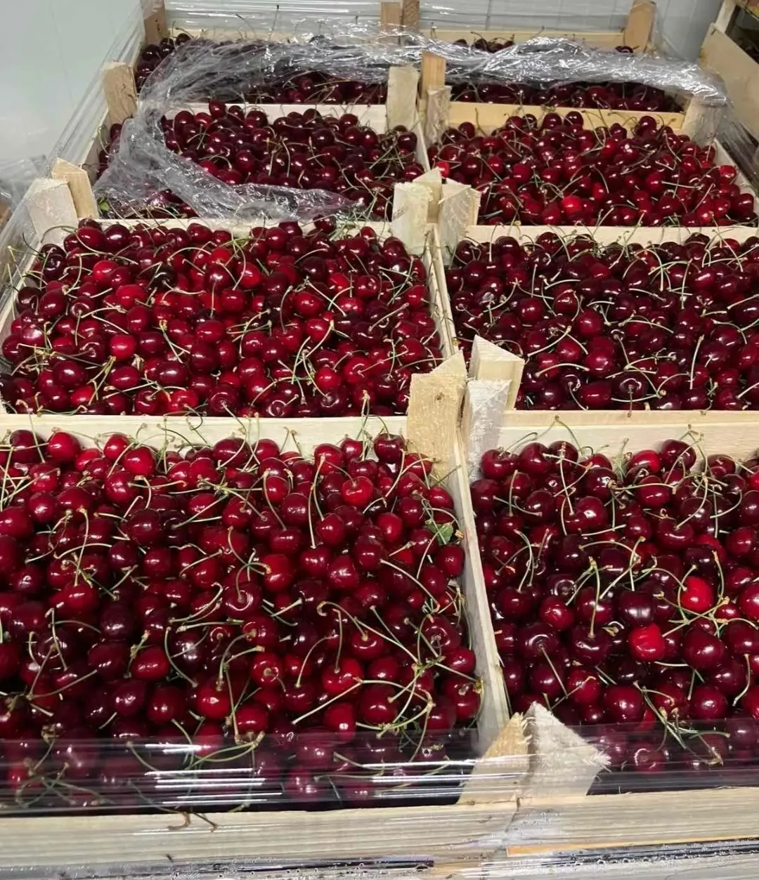 ТОВАР ДНЯ 🍒🍒🍒