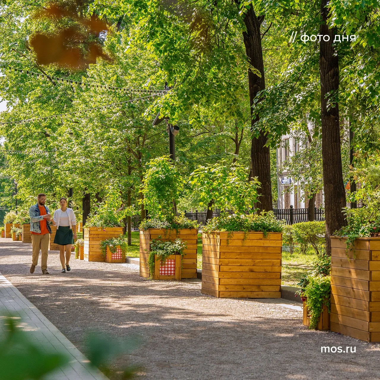 🪴 В рамках «Лета в Москве» в столице проходит ландшафтный фестиваль «Сады и цветы». Мо...