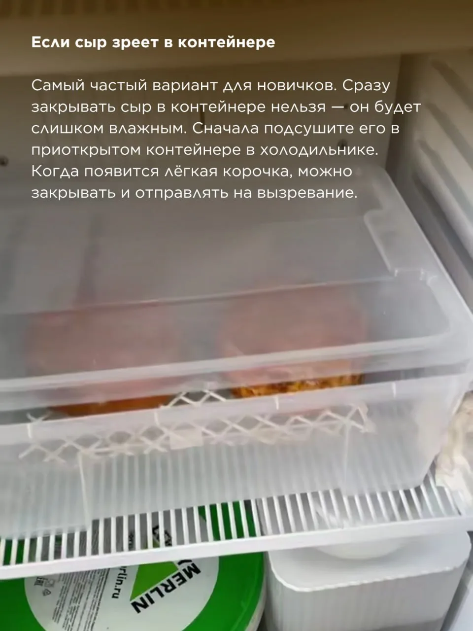 Изображение 4 к публикации «Школа Сыроделия Алексея Сыровера»