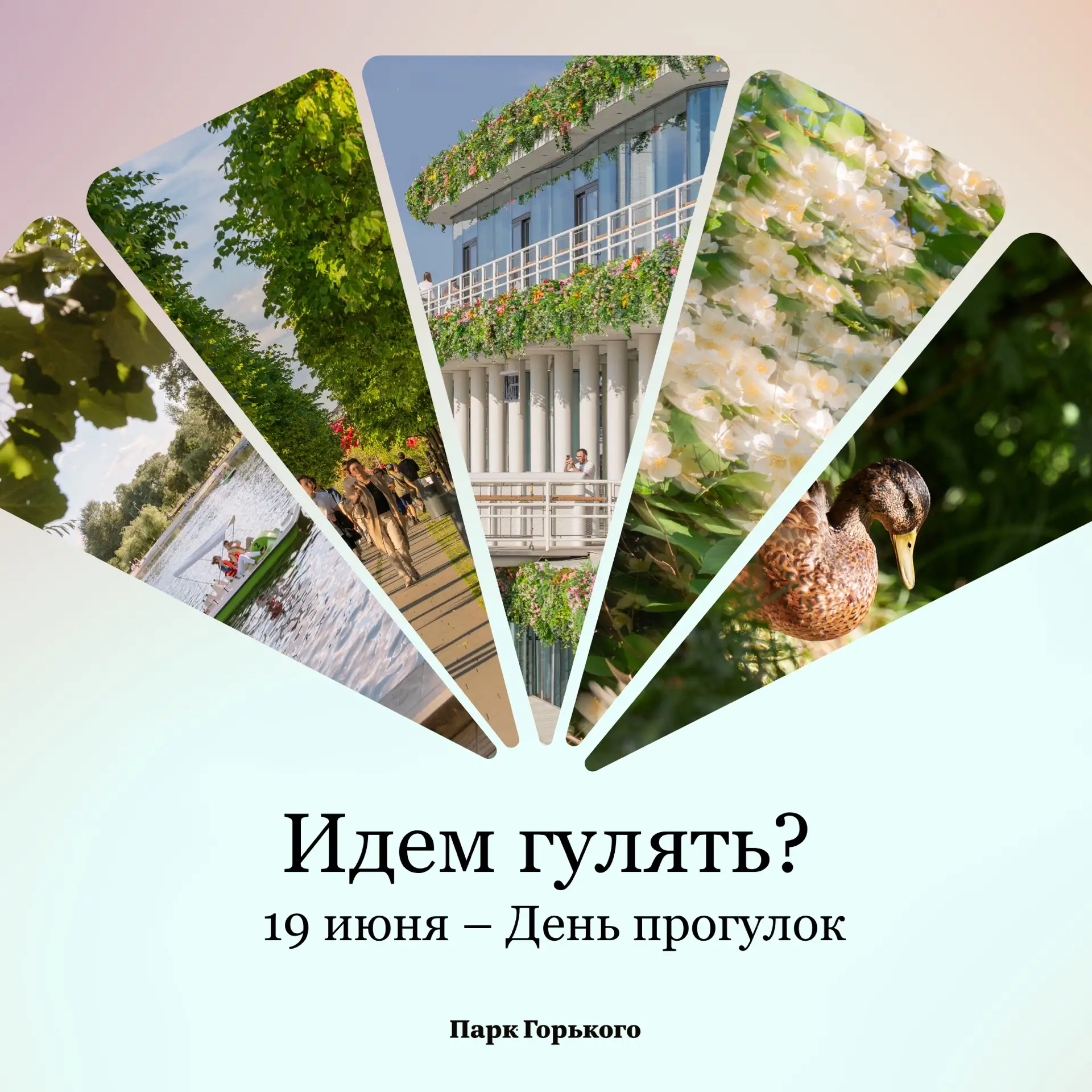 Сегодня отмечается День прогулок! В честь этого дарим вам открытку — присылайте ее другу, чтобы наме