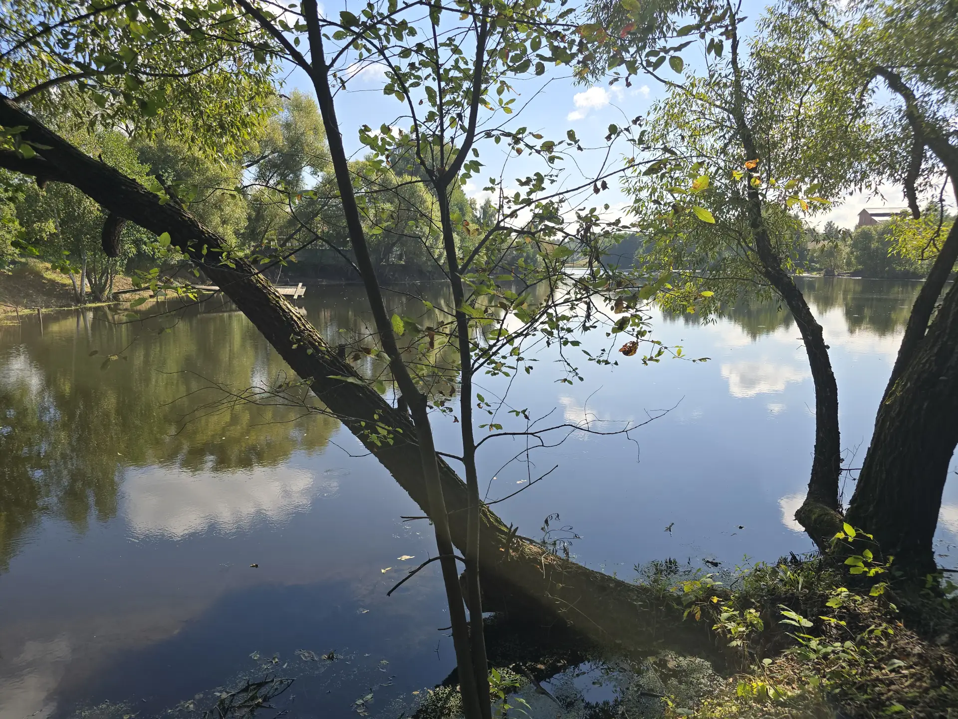 💧В деревне Новосёлки Городского округа Коломна состоялся заключительный в этом сезоне ...