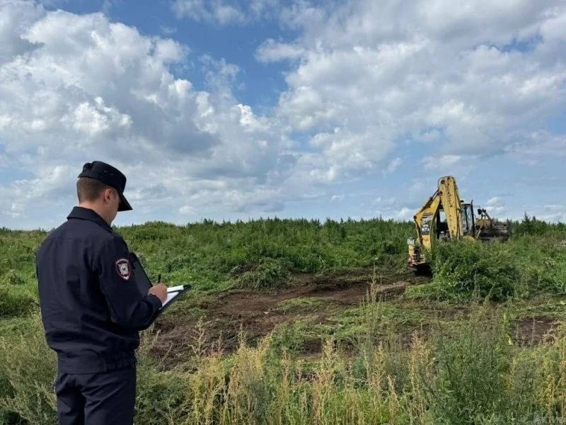 В Новокузнецком округе тяжёлой техникой уничтожили заросли дикорастущей конопли на 5 ге...