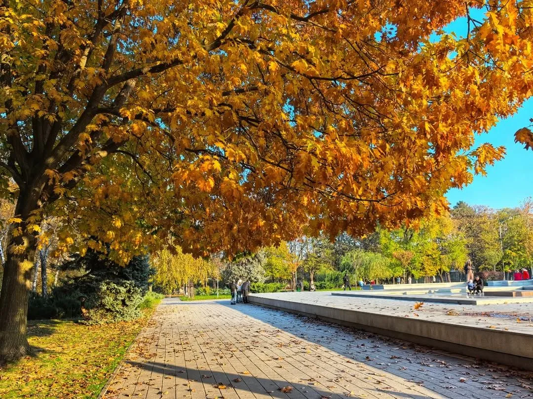 🌳 Чистяковская роща