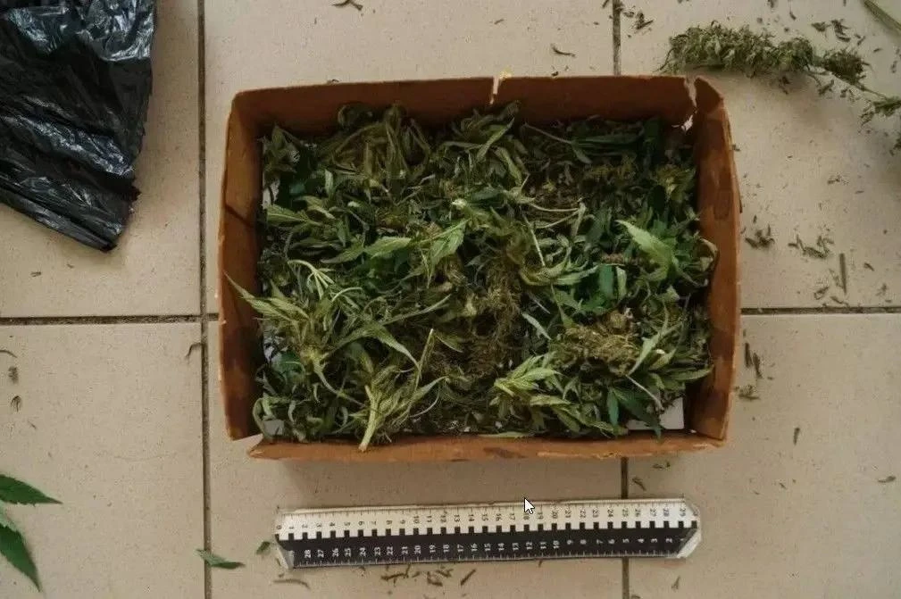 Пассажира с марихуаной задержали под Мичуринском