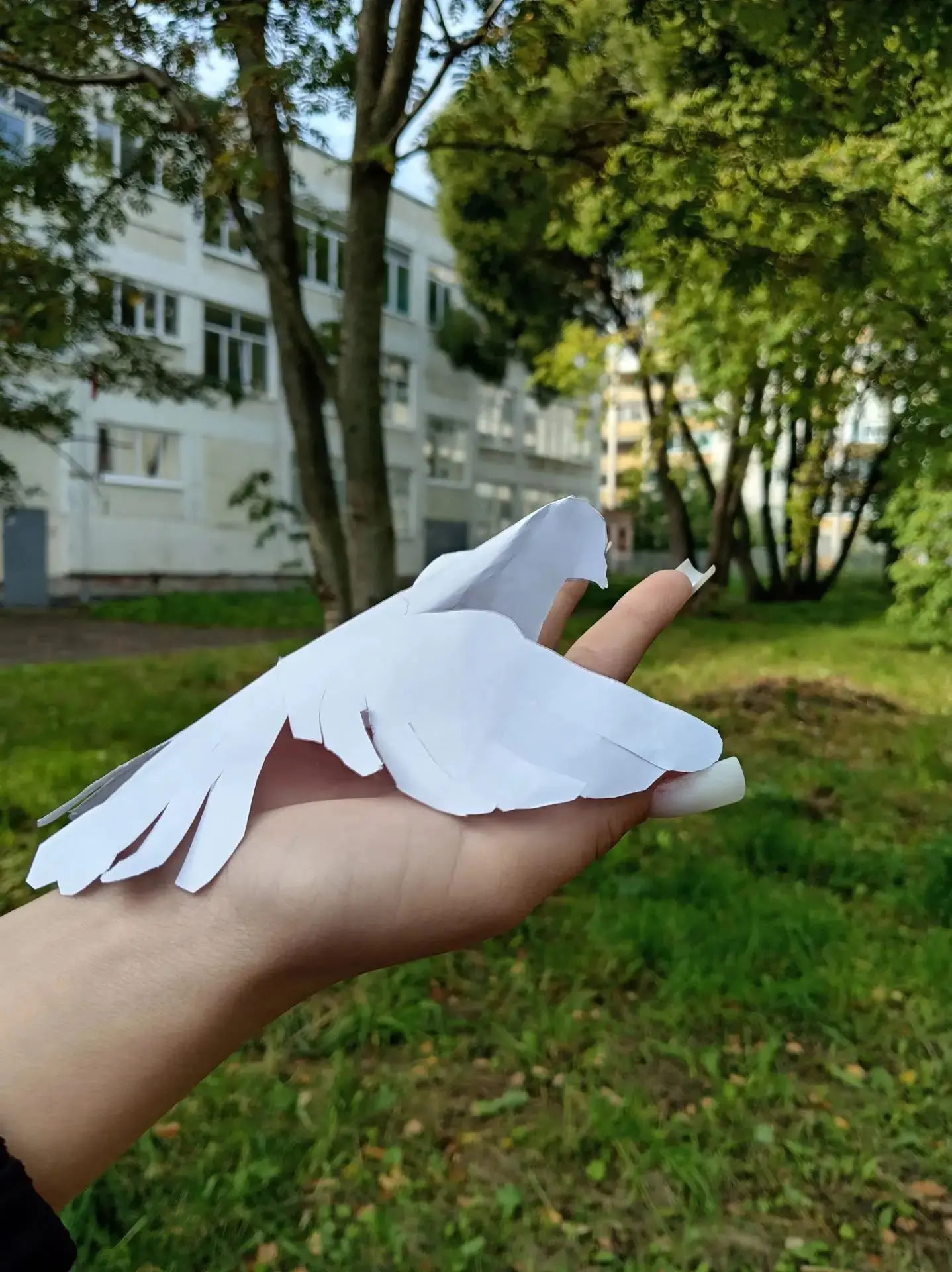 Важный разговор