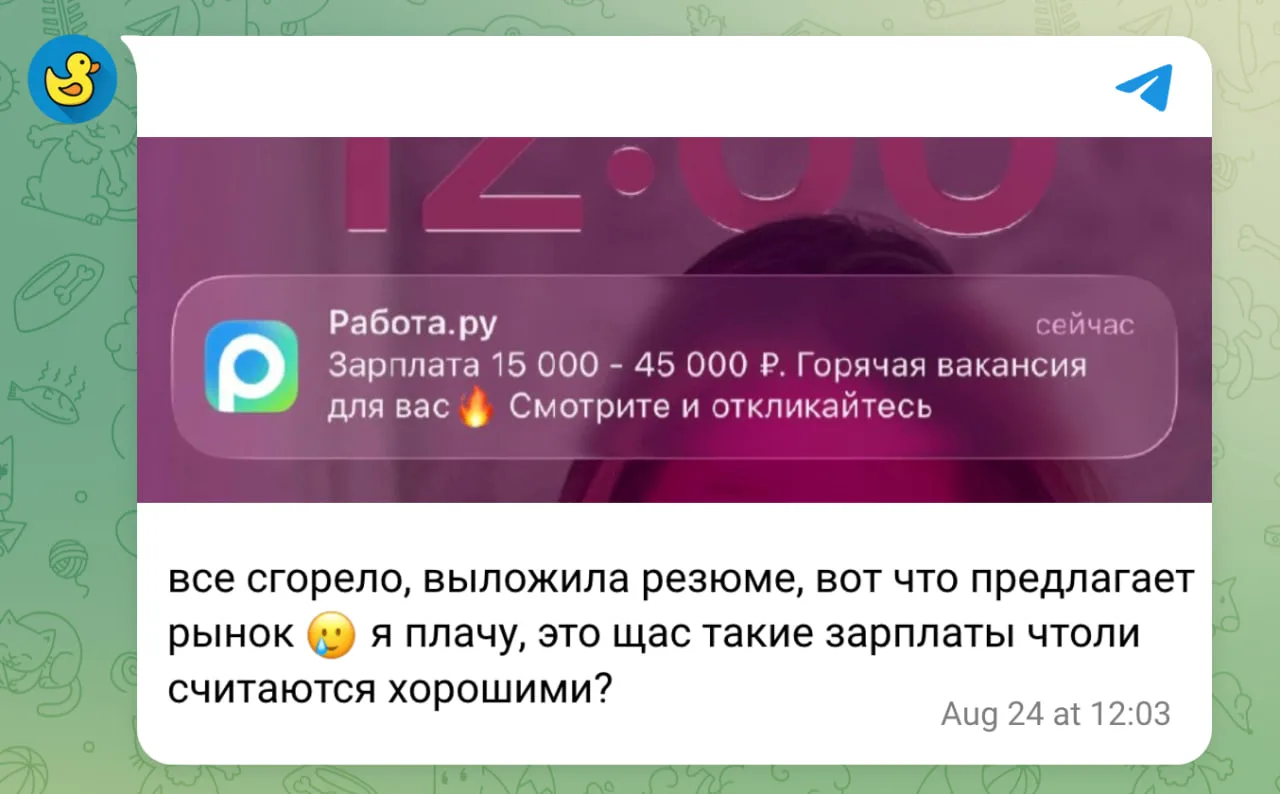 Селлеры пошли на рынок труда — реальность оказалась куда суровее ожиданий.