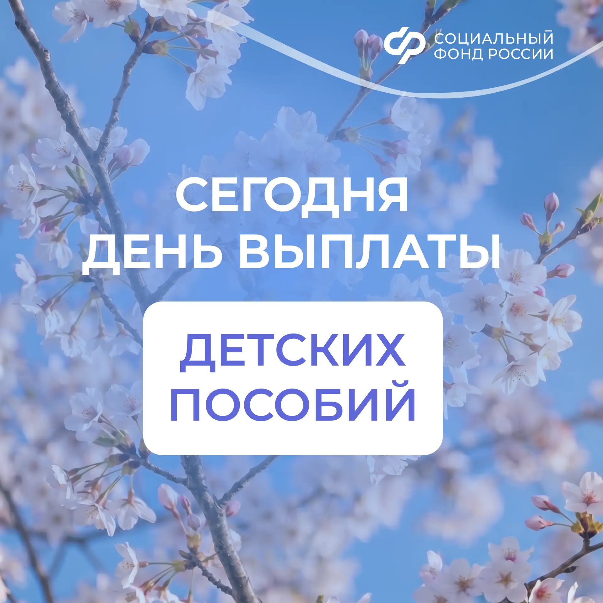 Сегодня – день зачисления выплат семьям с детьми на карты и счета  💳Работающие родители детей в новы