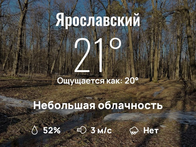 Что с погодой в Ярославском?

Одевайтесь по погоде, берегите себя!
Успешного дня, соседи!

#погодана