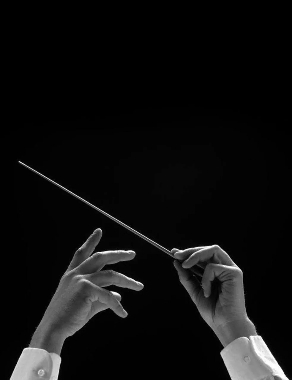🎶 Концерт выпускников кафедры хорового дирижирования

Хор студентов УГИИ им. З. Исмагилова представ