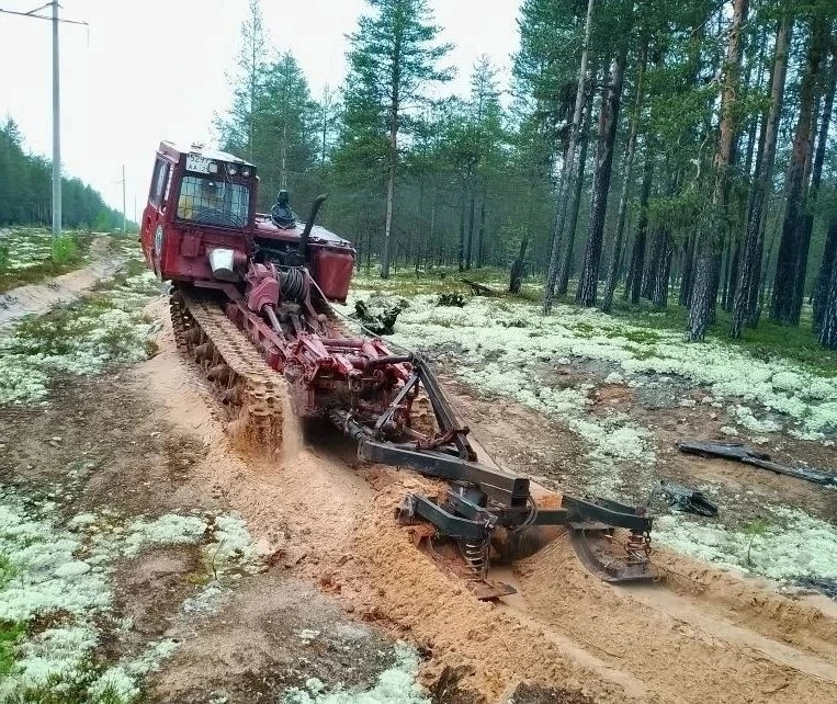 🔥 В Поморье активно создают и обновляют противопожарные минерализованные полосы