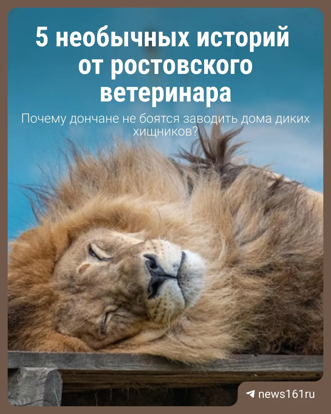 🐍Пока одни заводят гипоаллергенных пуделей, другие тащат в многоэтажки львиц, енотов и ядовитых зме