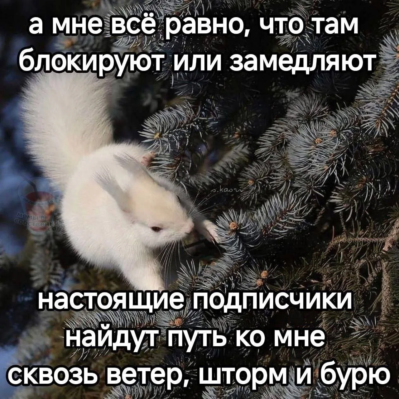 Очень хочу чтобы вас окружали только единомышленники, которые с вами на одной волне, ко...