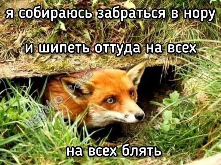 Готовимся к отбою, дгузья!