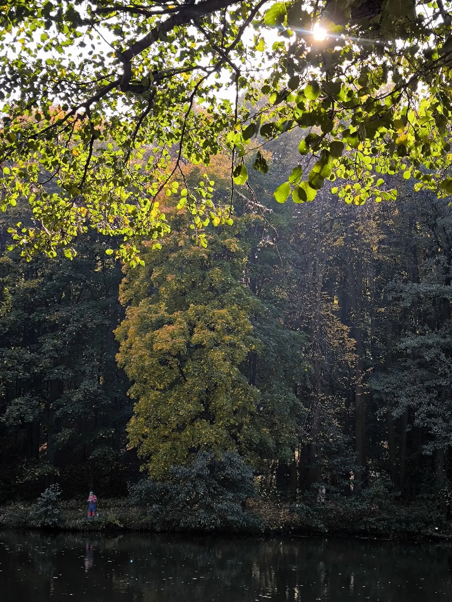 🍂 Осенние деньки в Царицыно