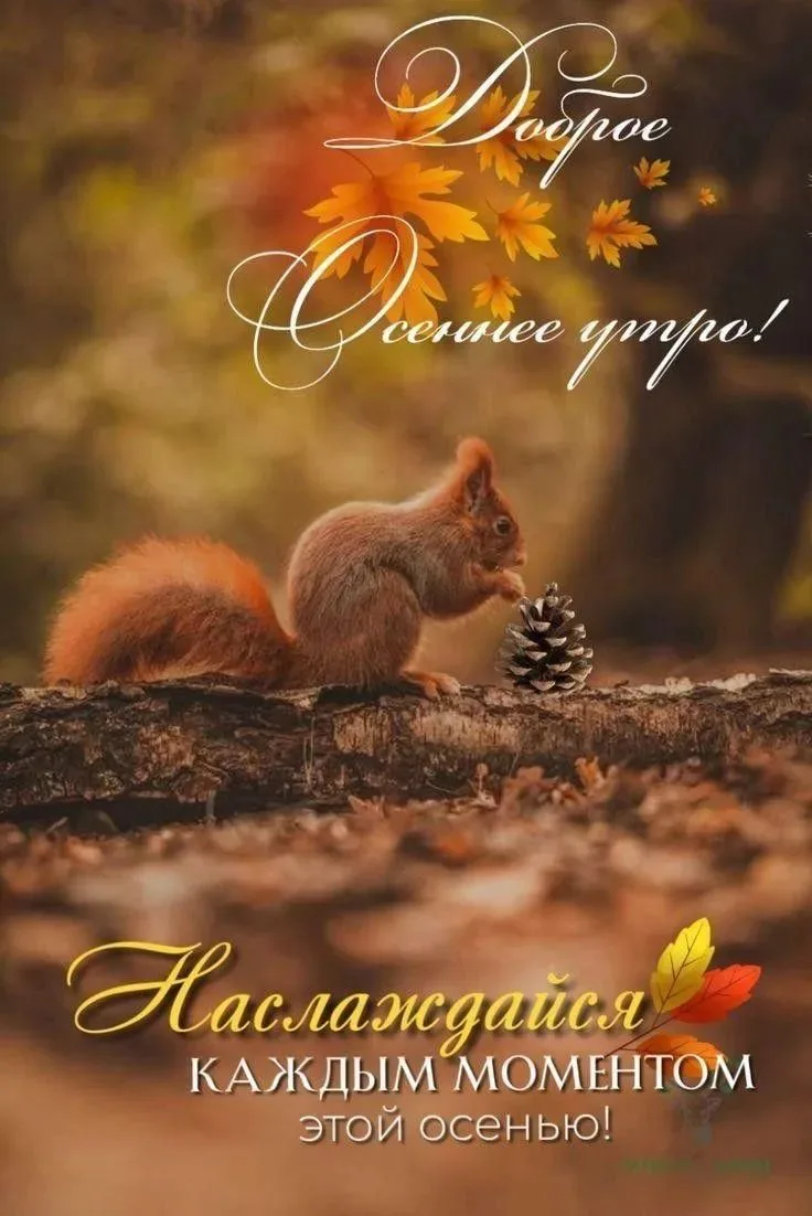 Доброе утро!
