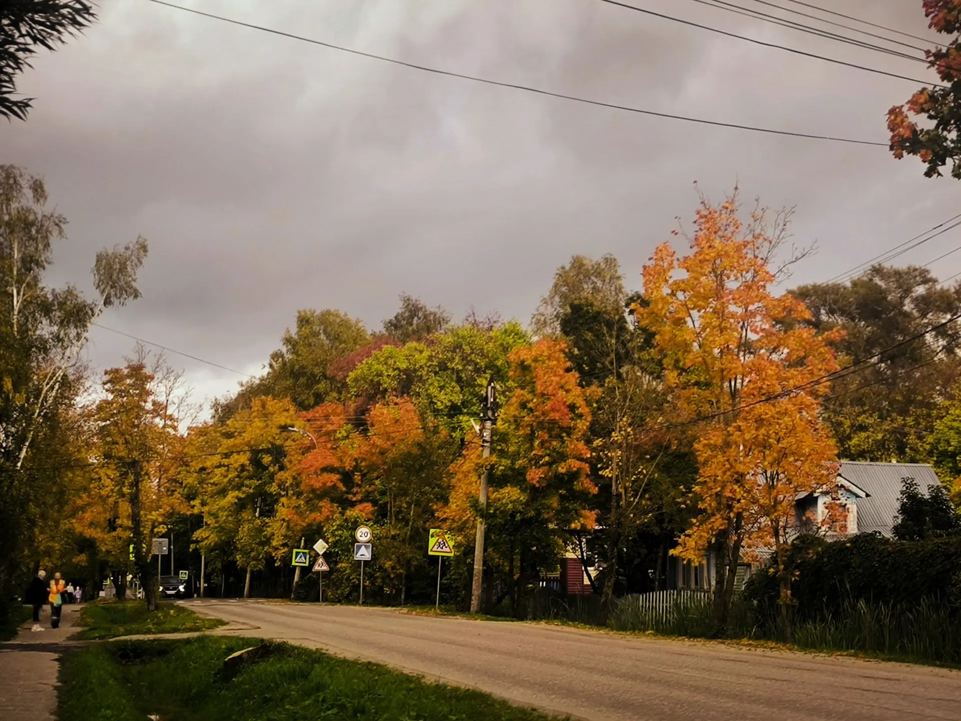 Днём по области +13° +18°, небольшой, местами умеренный дождь. Ветер юго-западный, запа...