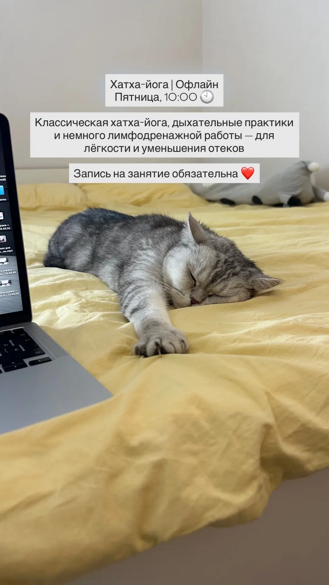 Для записи напишите мне Александра Елисеева