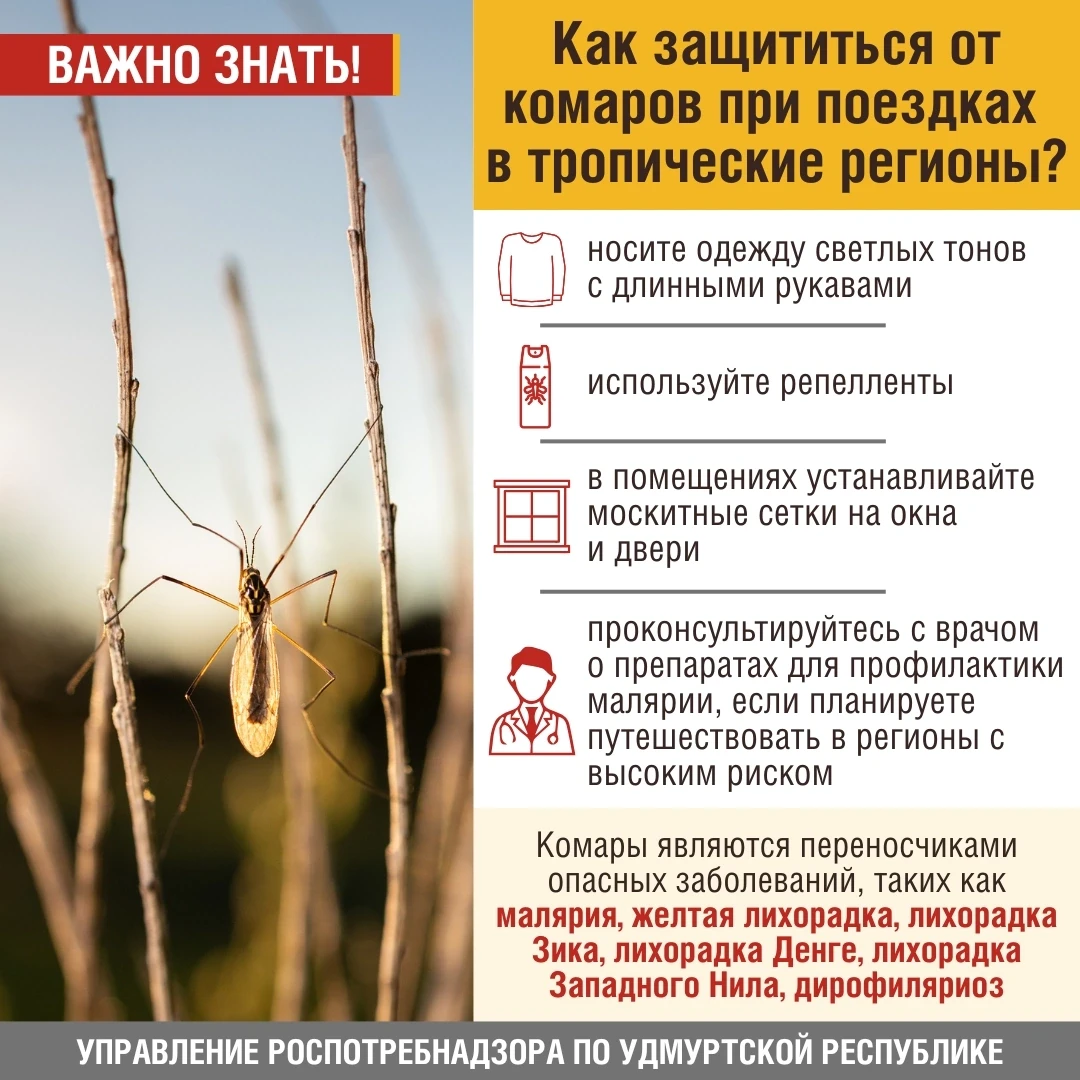 🦟Комары являются переносчиками опасных заболеваний, таких как малярия, желтая лихорадк...