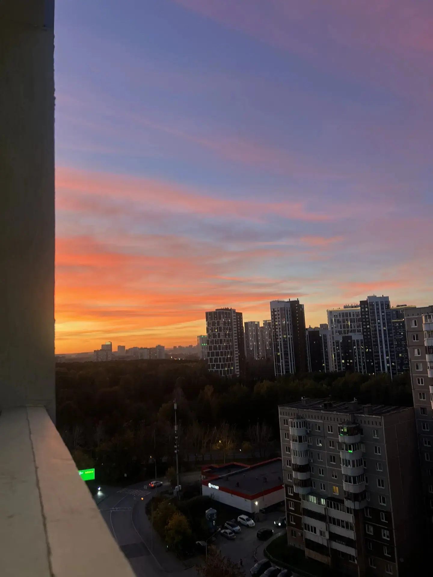 Закат на ботанике😍