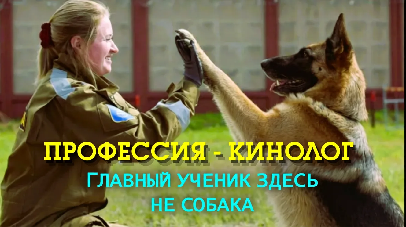 КИНОЛОГ - ЭТО ПРОФЕССИЯ О ДОВЕРИИ МЕЖДУ ЧЕЛОВЕКОМ И СОБАКОЙ