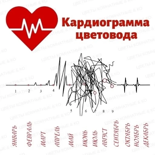 🌷Алфавит мужа цветочницы... 🌸