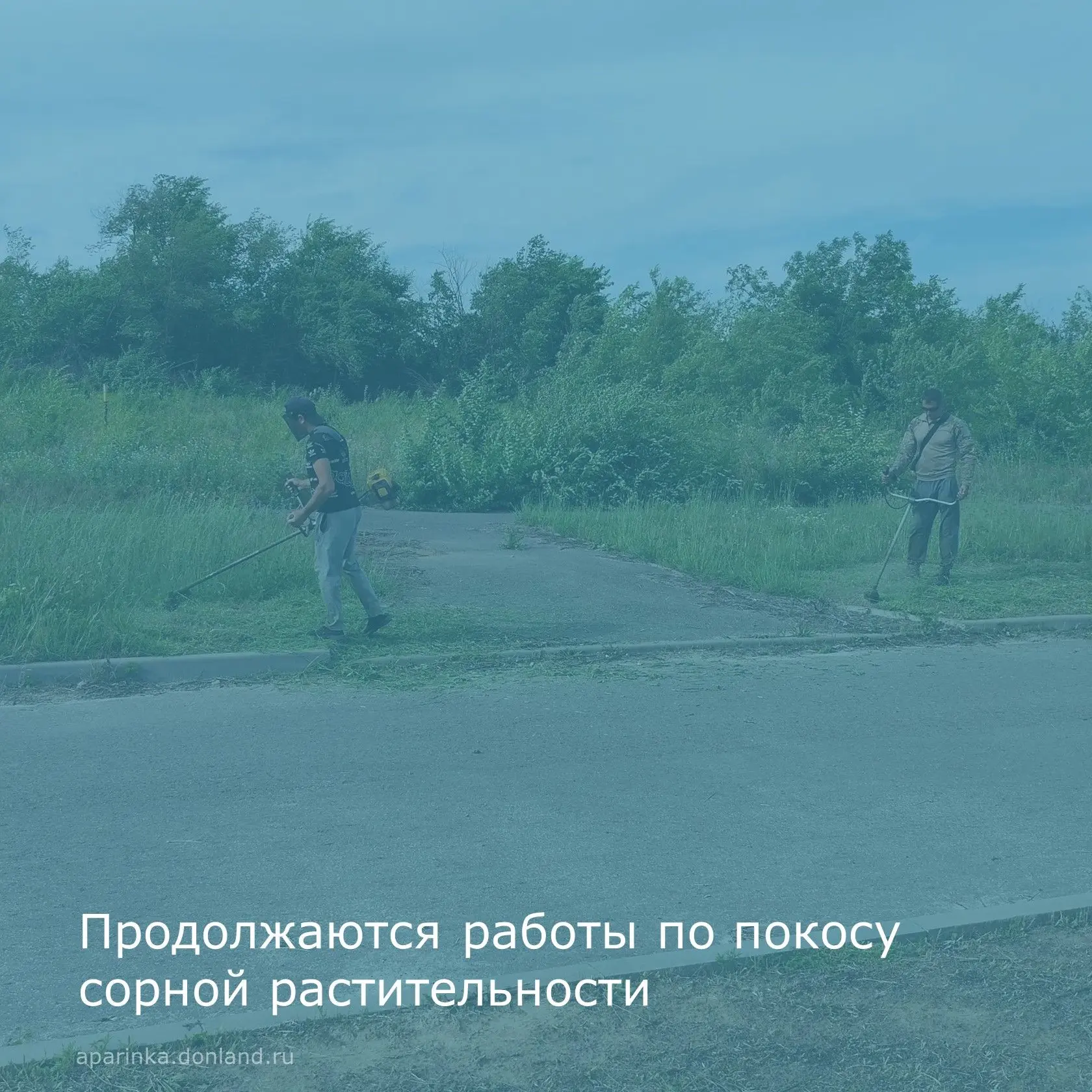 В Апаринском сельском поселении на постоянной основе проводится покос сорной растительности.
       
